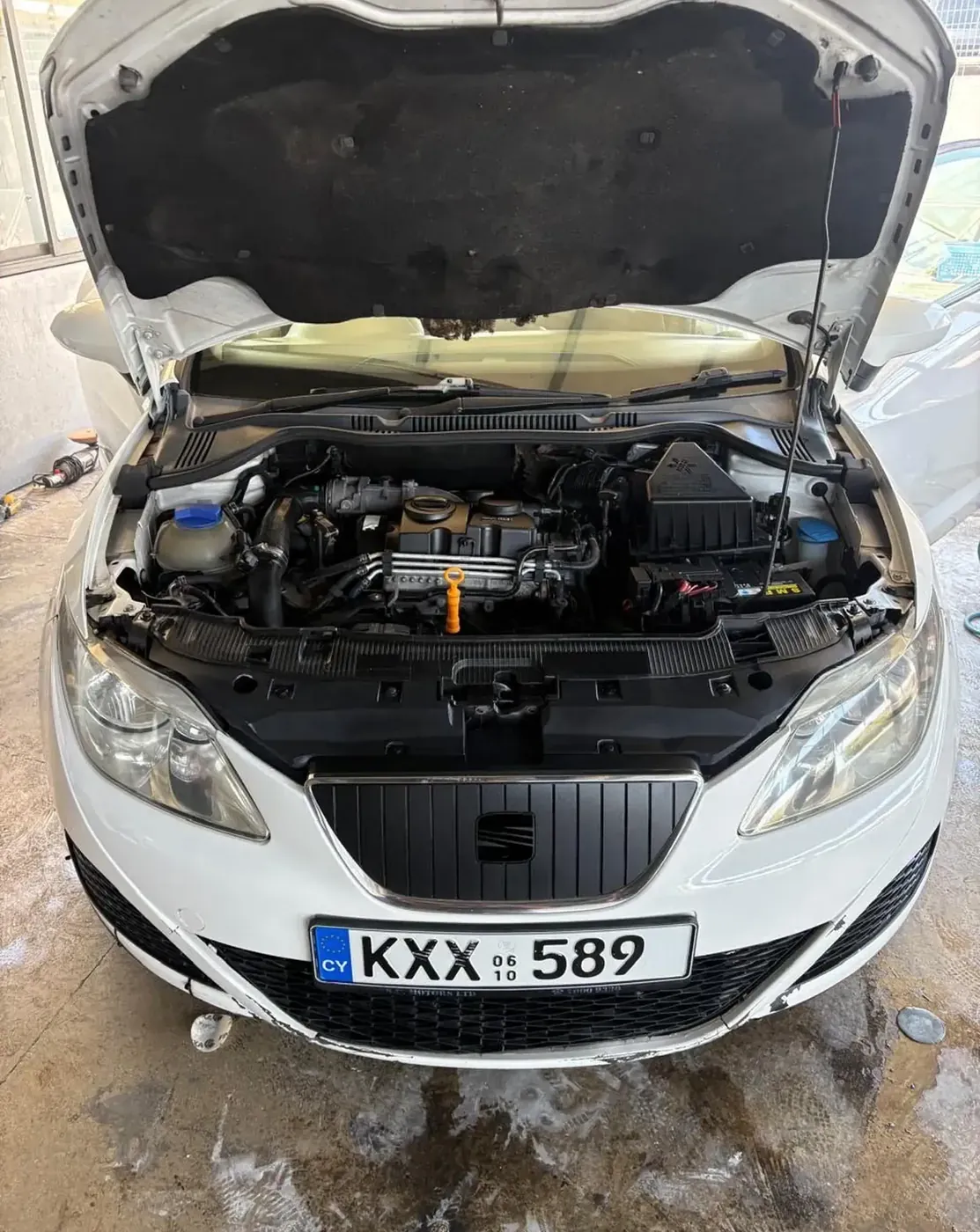2010 Seat Ibiza — photo 2