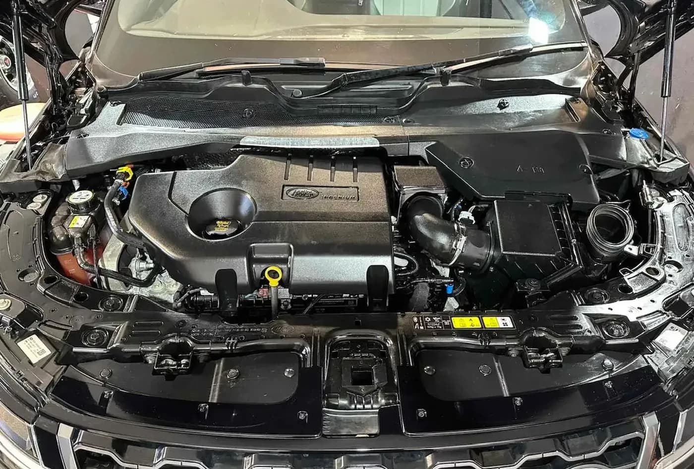 2020 Land Rover Range Rover Evoque — photo 14