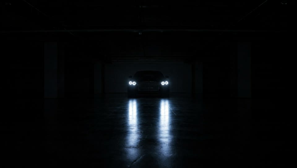 Luxury car — V.C.M. Motors